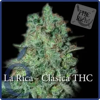 La Rica Classic THC cannabis seeds