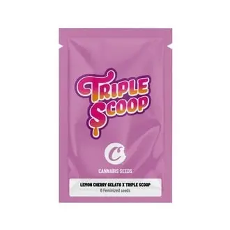 Lemon Cherry Gelato x Triple Scoop cannabis seeds