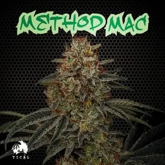 Method Mac cannabis seeds