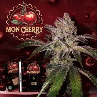 Mon Cherry cannabis seeds by T.H. Seeds