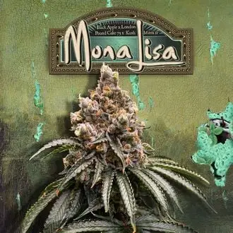 Mona Lisa cannabis seeds
