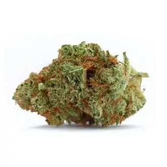 Naranja Biscotti Fast Version cannabis seeds by Growers Choice