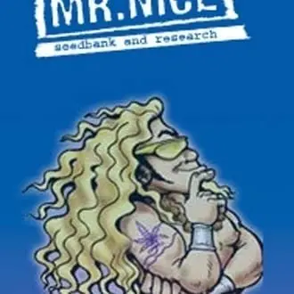 NL5 x Afghan cannabis seeds by Mr. Nice