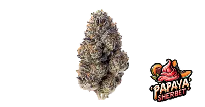 Papaya Sherbet cannabis seeds