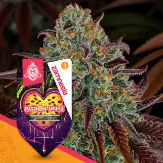 Passion Fruitz cannabis seeds by Zamnesia Seeds