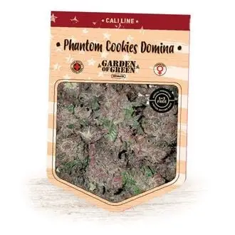 Phantom Cookies Domina cannabis seeds