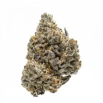 Rainbow Runtz cannabis seeds by Growers Choice