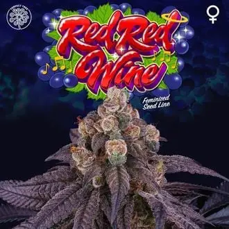 Red Red Wine cannabis seeds by Perfect Tree