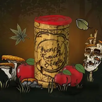 Respeto Confite cannabis seeds by French Touch Seeds