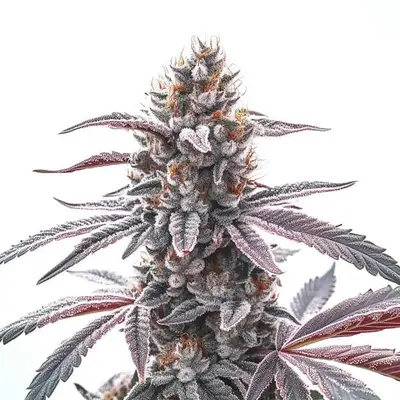 Rotten Zkittlez cannabis seeds