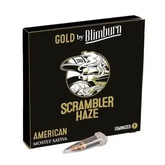 Scrambler Haze cannabis seeds