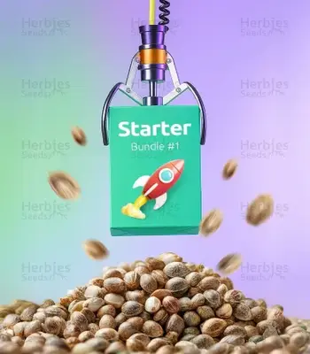 Starter Bundle #1 cannabis seeds