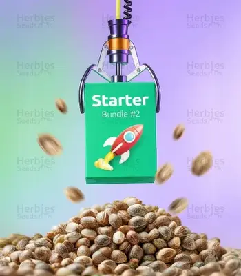 Starter Bundle #2 cannabis seeds