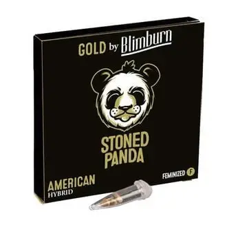 Stoned Panda cannabis seeds by Blimburn Seeds