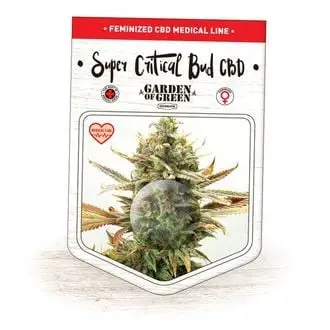 Super Critical Bud CBD cannabis seeds by Garden of Green