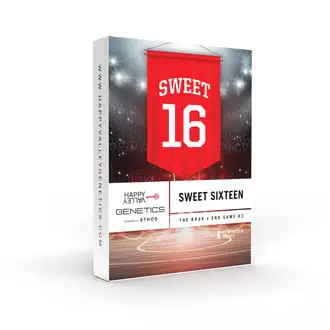 Sweet 16 cannabis seeds by Happy Valley Genetics