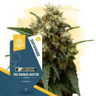 THC Bunker Buster cannabis seeds by Zamnesia Seeds