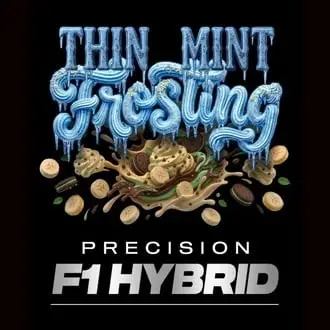 Thin Mint Frosting F1 cannabis seeds
