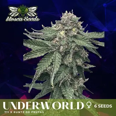 Underworld cannabis seeds