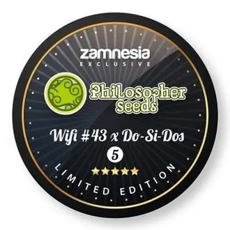 Wifi 43 x Do-Si-Dos cannabis seeds by Zamnesia Seeds, Philosopher Seeds