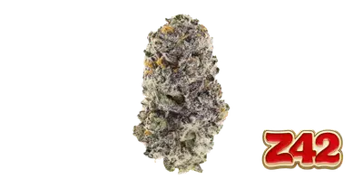 Z42 cannabis seeds by Fast Buds