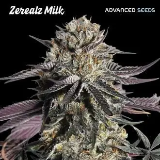Zerealz Milk cannabis seeds