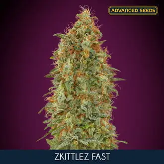 Zkittlez Fast cannabis seeds