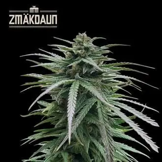 Zmäkdaun cannabis seeds