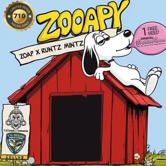 Zooapy cannabis seeds by T.H. Seeds